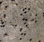 B0321FAA-91AD-4D12-A047-FFC40B5580BC_1578608988404.jpeg