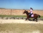 DSCN3801.jpg