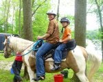 Horse Mammal Trail riding Bridle Equestrianism